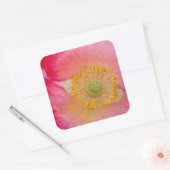 米国、ノースカロライナ。ポピーインテリアのクローズアップ スクエアシール (封筒)