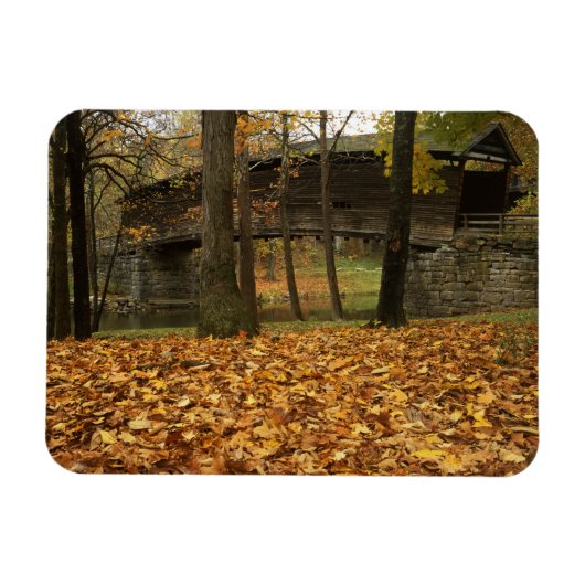 米国、バージニア、コビントン、ハンバックカバー マグネット (横)