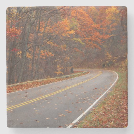 米国、バージニア、シェナンドア国立公園、スカイライン ストーンコースター (正面)