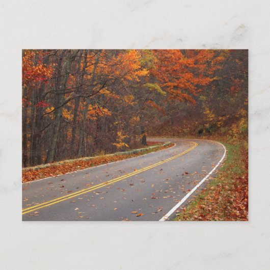 米国、バージニア、シェナンドア国立公園、スカイライン ポストカード (正面)