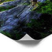 米国、バージニア、シェナンドア国立公園。 ポスター (角)