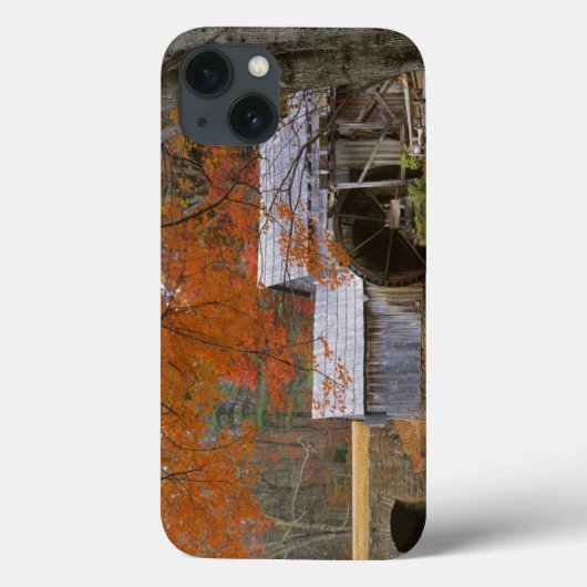 米国、バージニア、ブルーリッジパークウェイ、秋 Case-Mate iPhoneケース (裏面)
