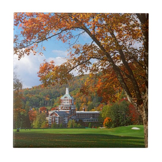 米国、バージニア、ホット春、ホームステッド タイル (正面)