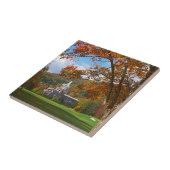 米国、バージニア、ホット春、ホームステッド タイル (側面)