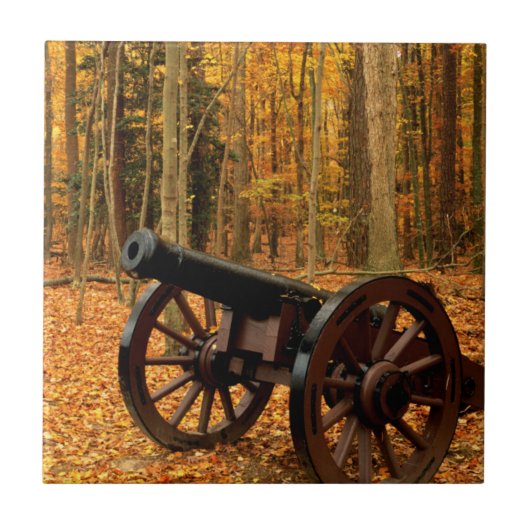 米国、バージニア、植民地国家史跡 タイル (正面)