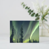 米国、フェアバンクス地区、中央アラスカ、オーロラ ポストカード (スタンド正面)