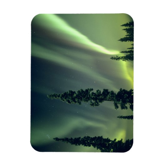 米国、フェアバンクス地区、中央アラスカ、オーロラ マグネット (縦)