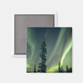 米国、フェアバンクス地区、中央アラスカ、オーロラ マグネット (正面/裏面)