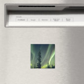 米国、フェアバンクス地区、中央アラスカ、オーロラ マグネット (インサイチュ (食洗機))