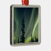 米国、フェアバンクス地域、アラスカ州中部、オーロラ州 メタルオーナメント (右)