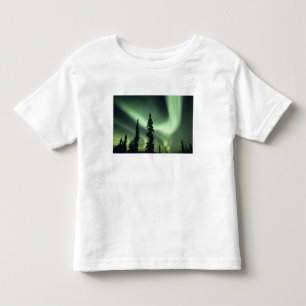 米国、フェアバンクス地域、アラスカ州中部、オーロラ2 トドラーTシャツ