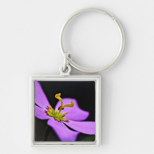 米国、フロリダ州、ビッグ·サイプレス国立保護区 キーホルダー (正面)