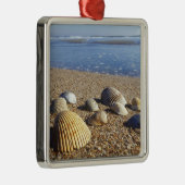米国、フロリダ州、沿岸海の貝 メタルオーナメント (右)