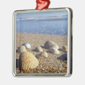 米国、フロリダ州、沿岸海の貝 メタルオーナメント (左)