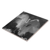 米国,フロリダ,エグレ素晴らしト(アルデア・アルバ)赤外線3 タイル (側面)