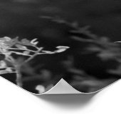 米国,フロリダ,エグレ素晴らしト(アルデア・アルバ)赤外線3 ポスター (角)