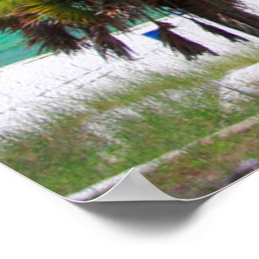 米国、フロリダ。エメラルドコーストのヤシの木 ポスター (角)