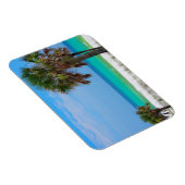 米国、フロリダ。エメラルドコーストのヤシの木 マグネット (右側)