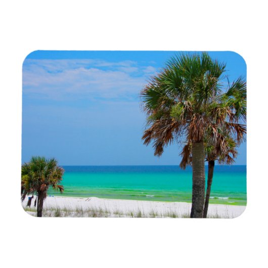 米国、フロリダ。エメラルドコーストのヤシの木 マグネット (横)