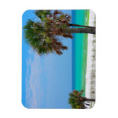 米国、フロリダ。エメラルドコーストのヤシの木 マグネット (縦)