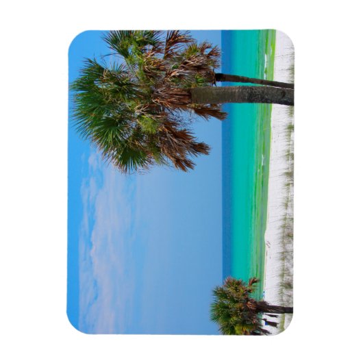 米国、フロリダ。エメラルドコーストのヤシの木 マグネット (縦)