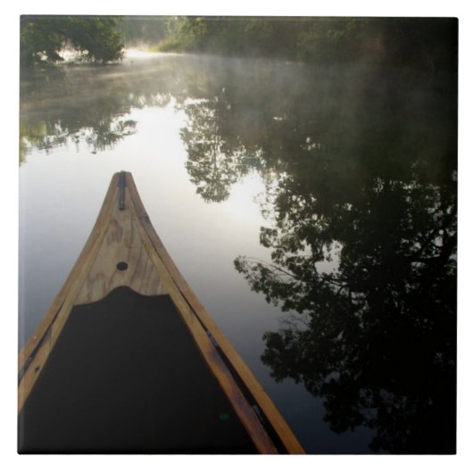 米国、フロリダ、オカラ国有林、アレクサンダー タイル (正面)