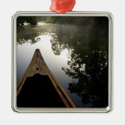 米国、フロリダ、オカラ国有林、アレクサンダー メタルオーナメント (正面)