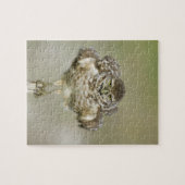 米国，フロリダ，コーラル岬，穴掘りのクローズアップ ジグソーパズル (横)