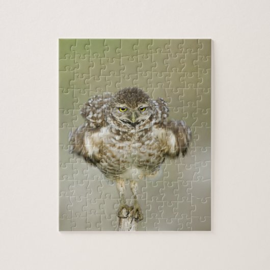 米国，フロリダ，コーラル岬，穴掘りのクローズアップ ジグソーパズル (縦)