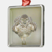 米国,フロリダ,コーラル岬,穴掘りのクローズアップ メタルオーナメント (左)