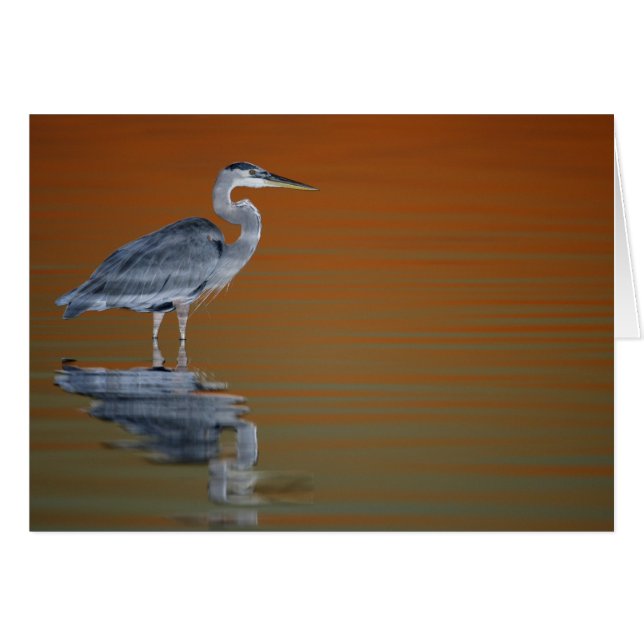 米国，フロリダ，サンクトペテルブルク，フォートデソト2 (正面横)