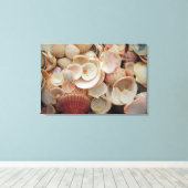 米国、フロリダ。サンタローザの貝殻の密封 キャンバスプリント (インサイチュ (ウッドフロア))