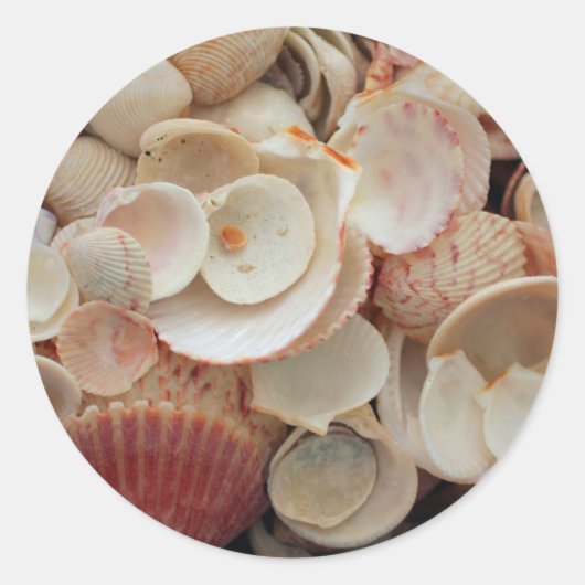米国、フロリダ。サンタローザの貝殻の密封 ラウンドシール (正面)