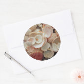 米国、フロリダ。サンタローザの貝殻の密封 ラウンドシール (封筒)