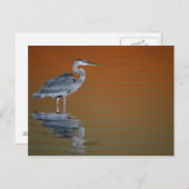 米国、フロリダ、セント・ピーターズバーグ、Fort De Soto 2 ポストカード (正面/裏面)