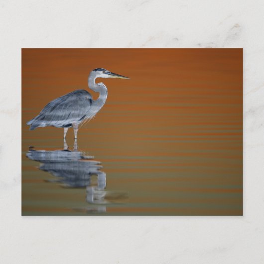 米国、フロリダ、セント・ピーターズバーグ、Fort De Soto 2 ポストカード (正面)