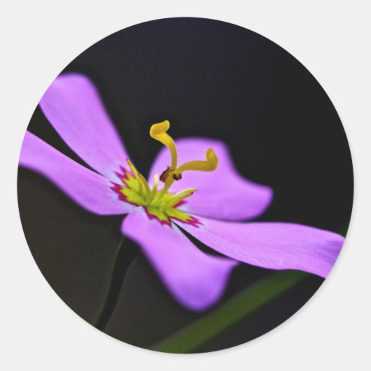 米国、フロリダ、ビッグサイプレス国立保存局 ラウンドシール (正面)