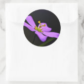 米国、フロリダ、ビッグサイプレス国立保存局 ラウンドシール (バッグ)