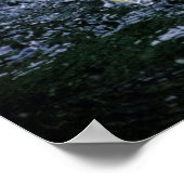 米国、フロリダ。ブラウンペリカン ポスター (角)