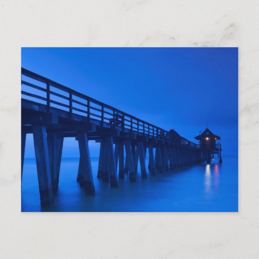 米国、フロリダ、湾岸、ナポリ、ナポリ埠頭 ポストカード (正面)