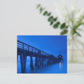 米国、フロリダ、湾岸、ナポリ、ナポリ埠頭 ポストカード (スタンド正面)