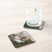 米国、フロリダ、Ponte Vedra Beach コースター (右側)