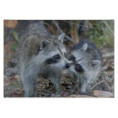 米国、フロリダ、Sanibelの丁の最愛の国民 カッティングボード (正面)