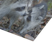 米国、フロリダ、Sanibelの丁の最愛の国民 カッティングボード (角)