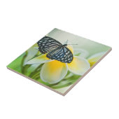 米国、ペンシルバニア州。アゲハチョウ蝶 タイル (側面)