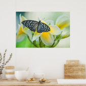 米国、ペンシルバニア州。アゲハチョウ蝶 ポスター (キッチン)