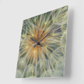米国、ペンシルバニア州。タンポポ種頭閉じ込め スクエア壁時計 (傾斜)