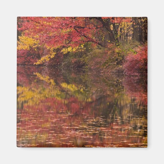 米国、ペンシルバニア州、デラウェア州ウォーターギャップ州 マグネット (正面)