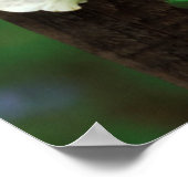 米国、ペンシルバニア州。フォックスグローブ及びデルフィニウム ポスター (角)