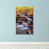 米国，ペンシルバニア州，ポコノ山脈2 キャンバスプリント (インサイチュ (ウッドフロア))